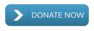 Donate to Habitat